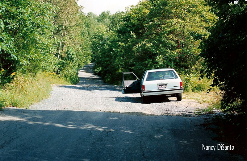 [dreamland park road]