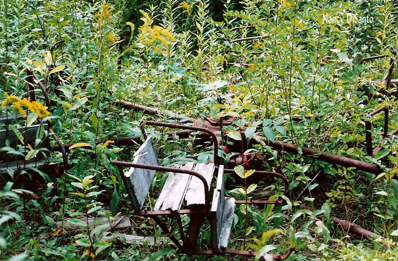 [ride remains]
