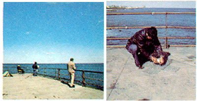 FISHING PIER