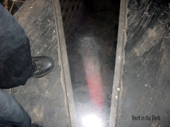 [floor stunt]